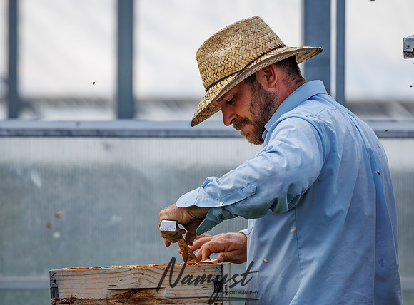 Waldoch Farm Honey Harvest 85