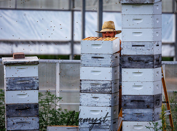 Waldoch Farm Honey Harvest 125