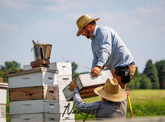 Waldoch Farm Honey Harvest 44