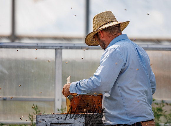 Waldoch Farm Honey Harvest 113