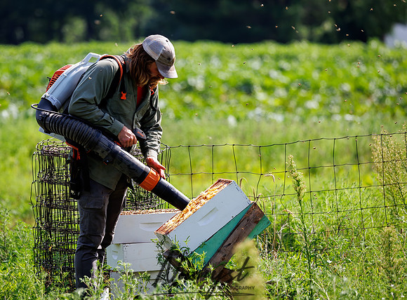 Waldoch Farm Honey Harvest 73