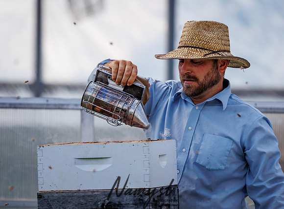 Waldoch Farm Honey Harvest 102