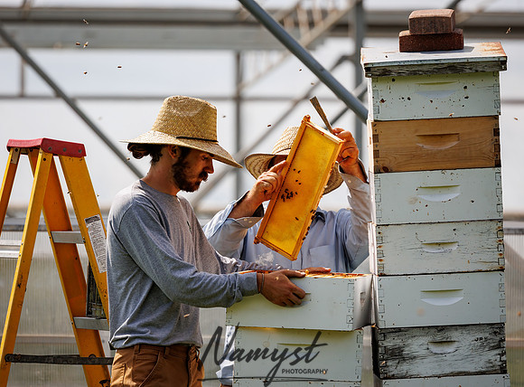 Waldoch Farm Honey Harvest 62