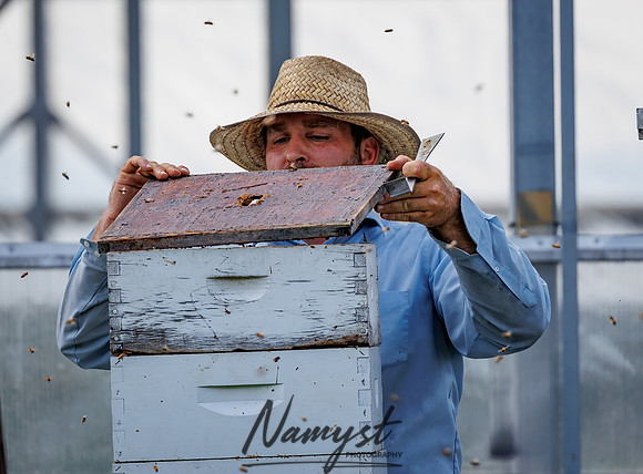 Waldoch Farm Honey Harvest 92