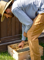 2023 07 31 Waldoch Farm Honey Harvest