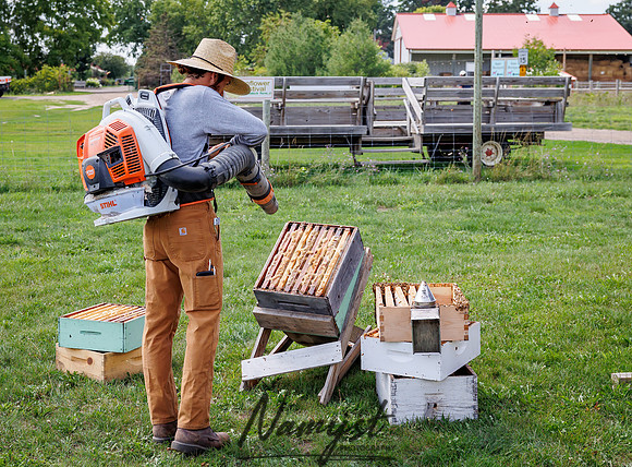 Waldoch Farm Honey Harvest 25
