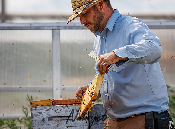 Waldoch Farm Honey Harvest 108