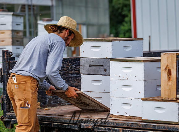 Waldoch Farm Honey Harvest 90