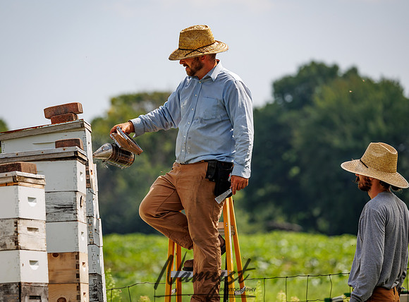 Waldoch Farm Honey Harvest 45