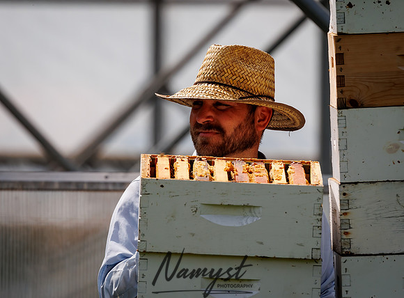 Waldoch Farm Honey Harvest 55