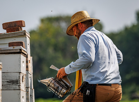 Waldoch Farm Honey Harvest 52