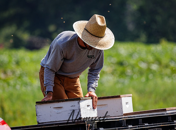 Waldoch Farm Honey Harvest 71