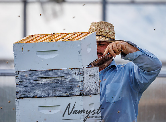 Waldoch Farm Honey Harvest 94