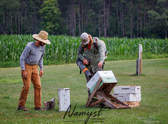 Waldoch Farm Honey Harvest 39