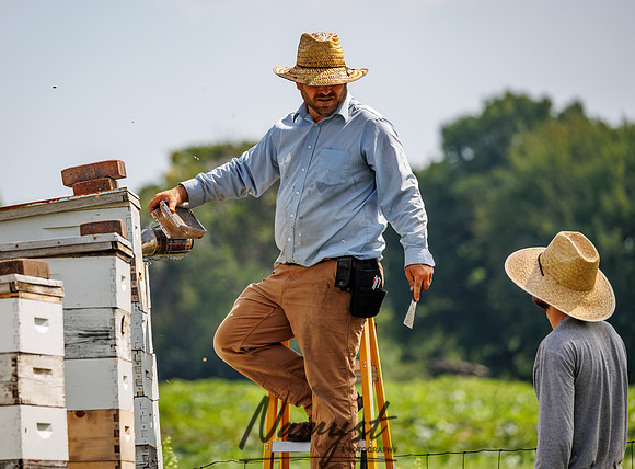 Waldoch Farm Honey Harvest 49