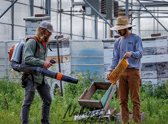 Waldoch Farm Honey Harvest 131