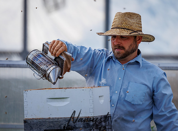 Waldoch Farm Honey Harvest 100