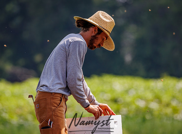 Waldoch Farm Honey Harvest 79