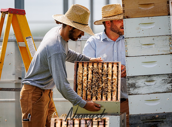 Waldoch Farm Honey Harvest 64