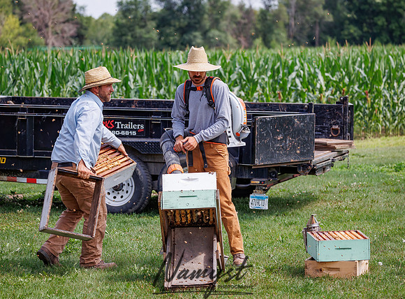 Waldoch Farm Honey Harvest 26