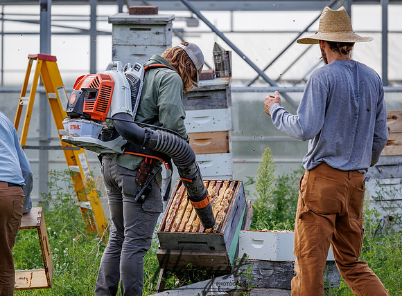 Waldoch Farm Honey Harvest 82