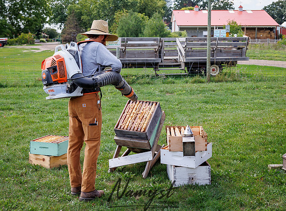 Waldoch Farm Honey Harvest 24