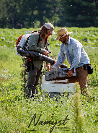 Waldoch Farm Honey Harvest 78