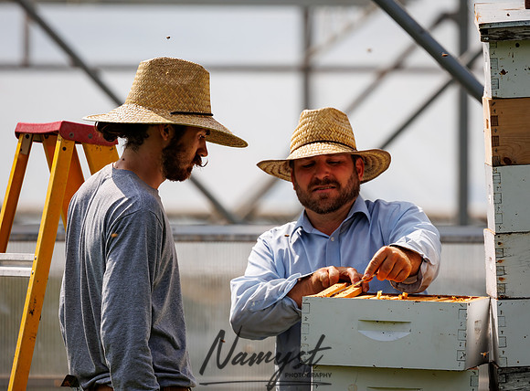 Waldoch Farm Honey Harvest 58