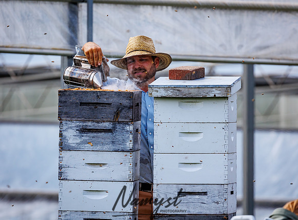Waldoch Farm Honey Harvest 121