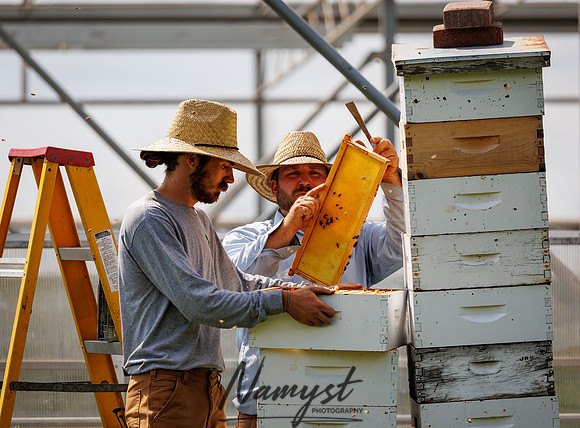 Waldoch Farm Honey Harvest 63