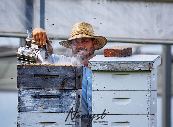 Waldoch Farm Honey Harvest 122
