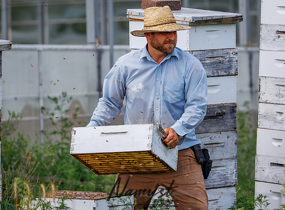 Waldoch Farm Honey Harvest 86