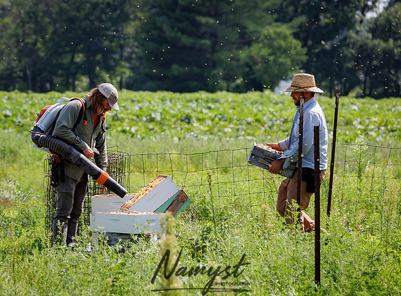 Waldoch Farm Honey Harvest 76