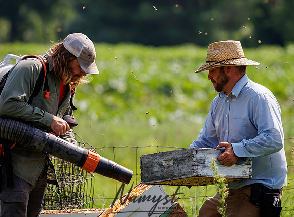Waldoch Farm Honey Harvest 74