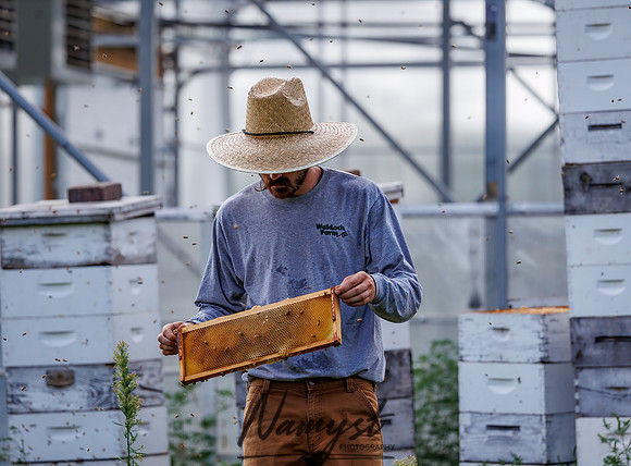 Waldoch Farm Honey Harvest 129