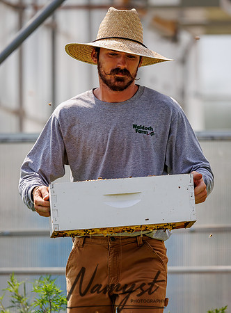 Waldoch Farm Honey Harvest 67