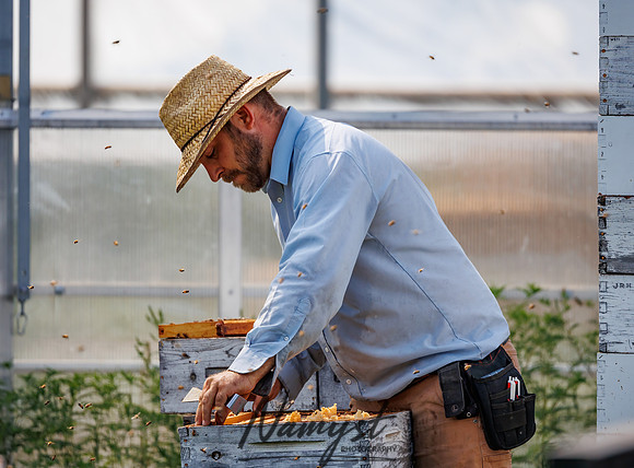 Waldoch Farm Honey Harvest 111
