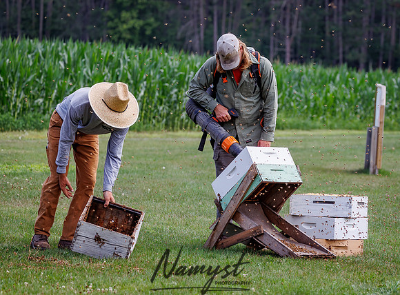 Waldoch Farm Honey Harvest 37