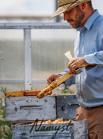 Waldoch Farm Honey Harvest 107