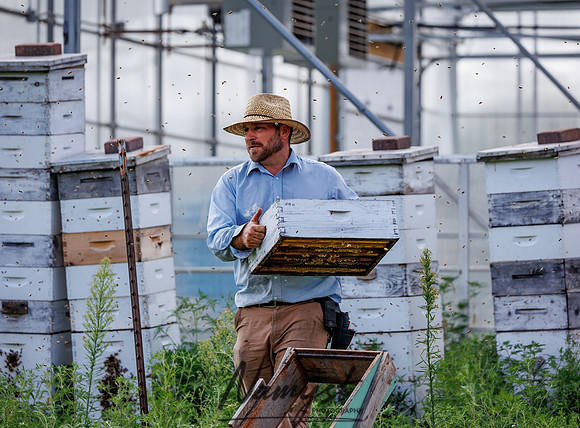 Waldoch Farm Honey Harvest 137