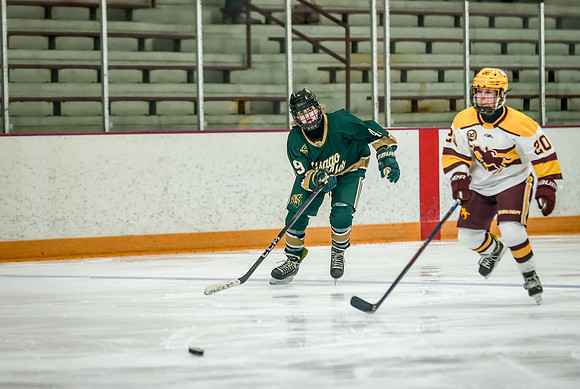 Chisago vs Forest Lake JV Hockey 202