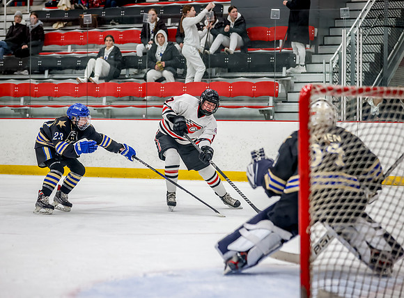 Centennial vs Holy Angels JV Hockey 80