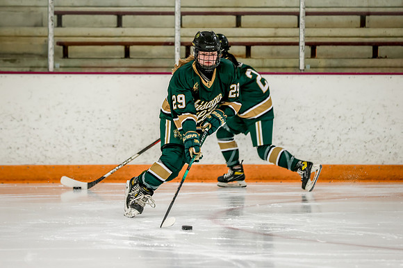 Chisago vs Forest Lake JV Hockey 11