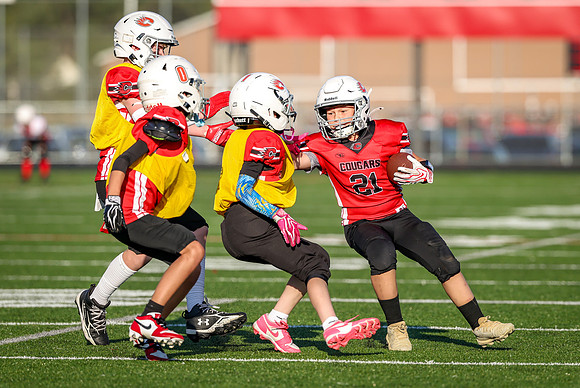0892 Centennial Football
