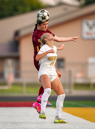 2363 Forest Lake Varsity Soccer