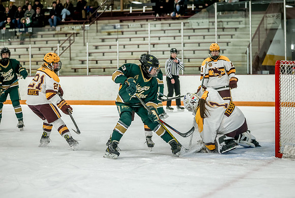 Chisago vs Forest Lake JV Hockey 241