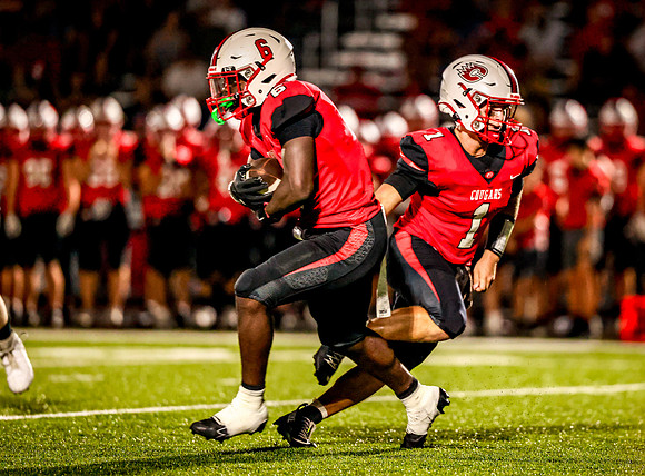 1199 Centennial vs Rosemount