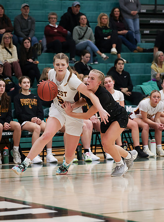 Mounds View vs Forest Lake Varsity Basketball 205