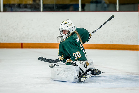 Chisago vs Forest Lake JV Hockey 49
