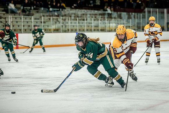 Chisago vs Forest Lake JV Hockey 214